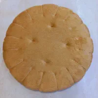 پد صندلی بیسکوئیتی