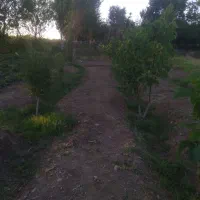 فروش باغ ۱۱۰۰متری روستای ینگجه|فروش زمین و ملک کلنگی|زنجان, |دیوار