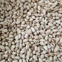 پسته و خرما کاملاً ارگانیک|عمدهفروشی|بافق, |دیوار