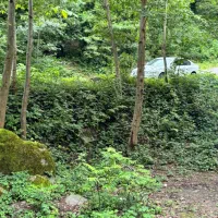 فروش-آپارتمان