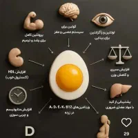 تخم مرغ محلی تازه ارگانیک|خوردنی و آشامیدنی|تهران, قیطریه|دیوار
