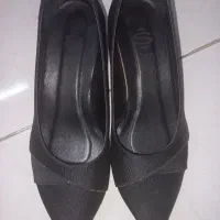 کیف وکفش مجلسی ست