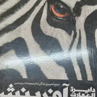 کتاب آفرینش رحلی گالینگور از نشر سایان