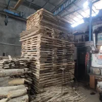 قیدو تخته  وچنار