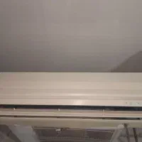 شادگان