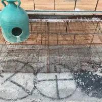 لوازم جانبی حیوانت