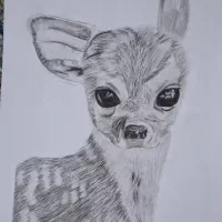 نقاشی سیاه قلم منظره با تکنیک کنته و ذغال|تابلو، نقاشی، عکس|مشهد, ایثارگران|دیوار