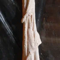 آلایش دامی|خوردنی و آشامیدنی|نقده, |دیوار