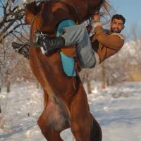 نریون کرد نوه سهیل