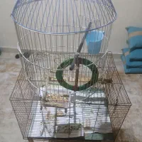 قفس بزرگ