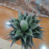 گلدان گل خارجی|گل مصنوعی|تهران, تهرانسر مرکزی|دیوار