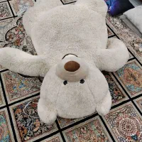 فروش خرس بزرگ