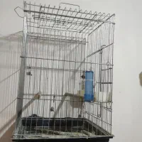 قفس کاسکویی بزرگ
