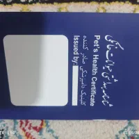 سگ ۲ماهه