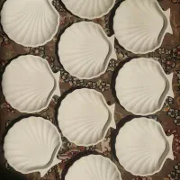 پک ده تایی بیس خام صدف فقط۲۰۰