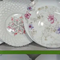 ظروف آرکوپال وچینی