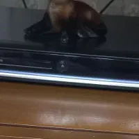 دی وی دی ها کاملا درحد ال جی وپاناسونیک