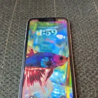 ایفون xr|موبایل|شاهینشهر, فردوسی|دیوار