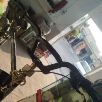 فرمون کاوا بلند
