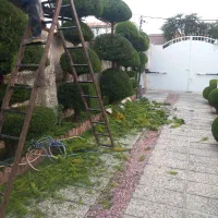 کلیه خدمات باغبانی