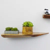 دنیای شلف دیواری ایفل ۲۰۲۶