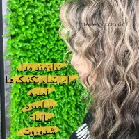 مدل برای تمام تکنیک های رنگ