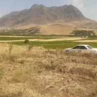 فروش باغ|فروش زمین و ملک کلنگی|فریدونشهر, |دیوار