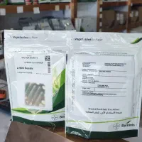 پخش بذر های خیار کیفیت بالا