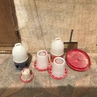 دانخوری ابخوری