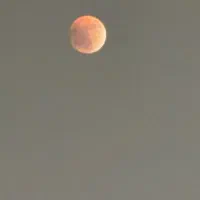 استخدام نیرو در مجتمع خدماتی رفاهی