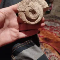 فسیل قدمت دار