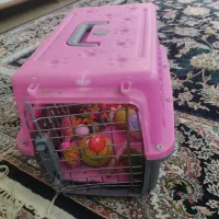 وسایل سگ|لوازم جانبی حیوانات|تهران, مهران (سیدخندان)|دیوار