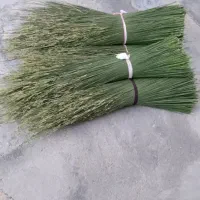 جارو