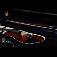 ویولن اشتاینر 4/4 مدل VM222