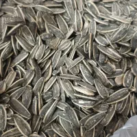 انواع محصولات بفروش میرسد