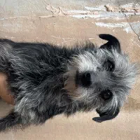 ۲میلیون مژدگانی برای یابنده