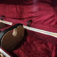 کیس کمانچه (رهاوی)|سازهای سنتی|تهران, فلسطین (میدان انقلاب)|دیوار