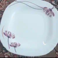 فروش آرکوپال