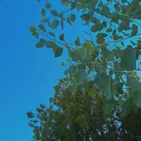 مربی پایه یکم و دوم
