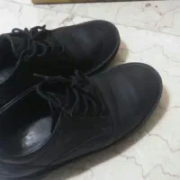 کفش مردانه اداری|کیف، کفش، کمربند|زنجان, |دیوار