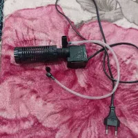 اکواریم ماهی|ماهی|بم, |دیوار