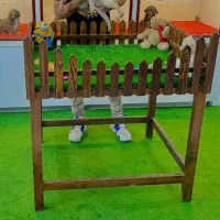 میز کار پت شاپ برای شو و فیلمبرداری پت