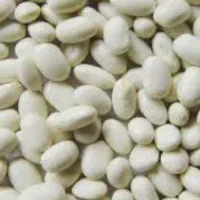 کاه لوبیا