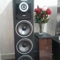 یک جفت اسپیکر حرفه ای پرقدرت|سیستم صوتی خانگی|ری, ظهیرآباد|دیوار