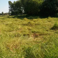 فروش-زمین-باغی-و-کشاورزی-در-کرباسده