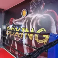 آموزش بوکس خصوصی و عمومی آماتور و حرفه ای