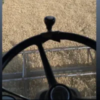 اجاره زمین برای گندم