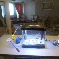 آکواریوم شرکتی شیشه خم|ماهی|فردیس, نگارستان|دیوار