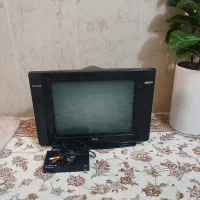 تلویزیون