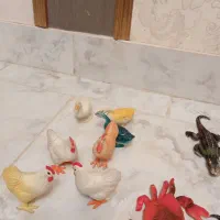 حیوانات پلاستیکی اهلی و وحشی و دریایی و مرغ وغاز|اسباببازی بچه|گرگان, |دیوار